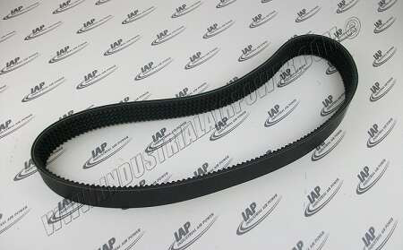 146482-556 Powerband Belt
