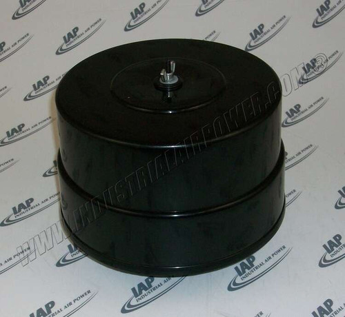 110377S250 250 NPT Filter/Silencer