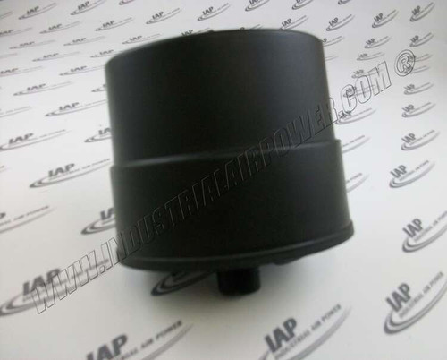 110377S101 100 NPT Silencer Filter