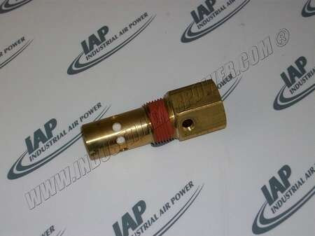110965-210 Check Valve