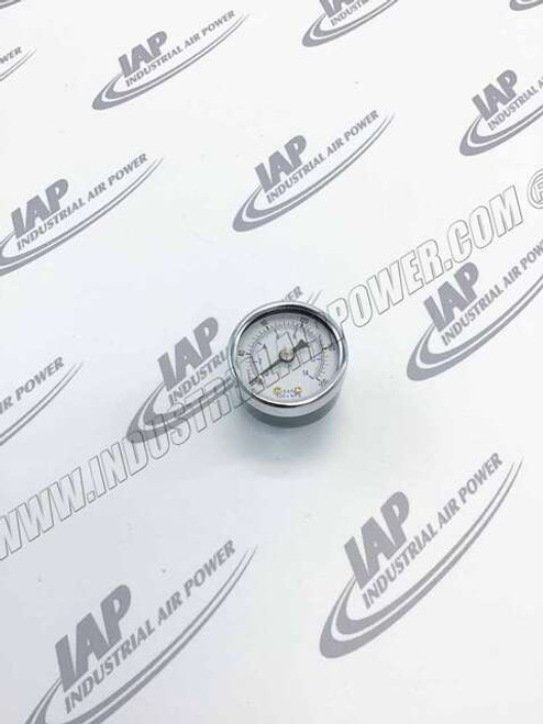 113171-200 Gauge