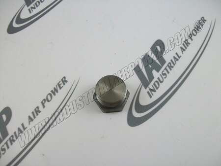 6883 Crankshaft Plug