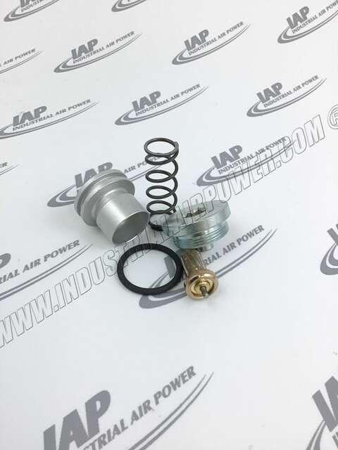2120-0223-55 Maintenance Set Thermostat 55
