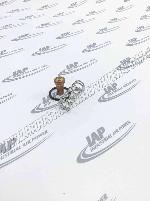 2200599825 THERMOSTATIC VALVE KIT C106