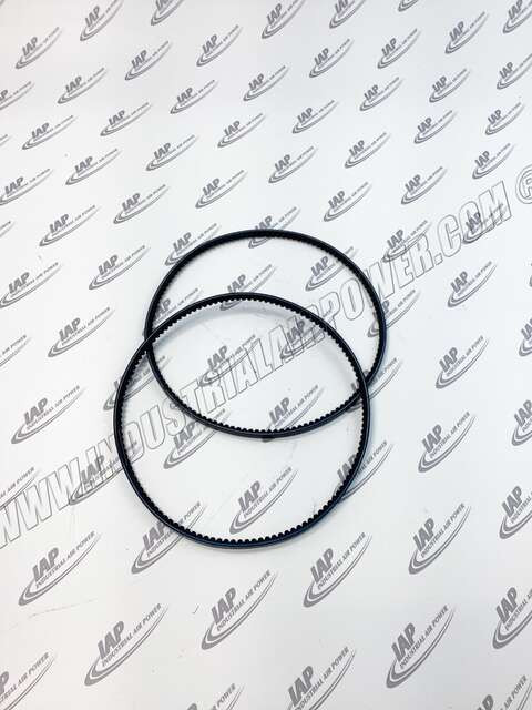 2203099909 V-BELT(SET 2X)
