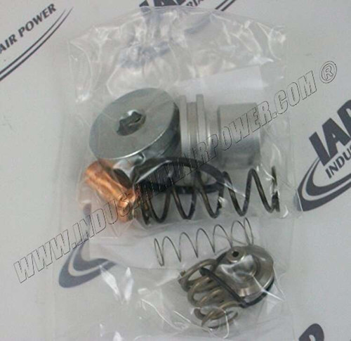 2901109500 QGS Thermostatic Valve - Mini Press Valve Kit