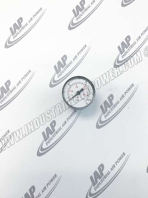 9090165700 Gauge