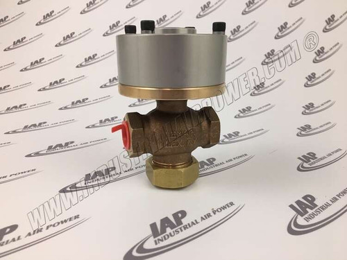 02250069-820 Blowdown Valve