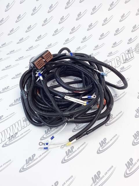 02250129-276 Eng/Comp 600 H-1050 Cat C9 Harness