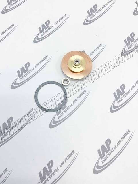 02250163-466 Repair Differential Regulator Kit