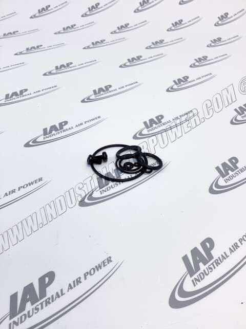 02250246-174 O-Ring , Replacments Sxt25 - 80