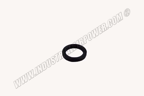 041388 Inlet Valve Seal
