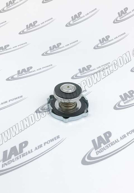 042018 Radiator 1050P Cap