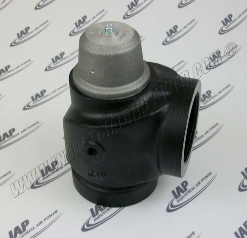 250000-486 Check Valve