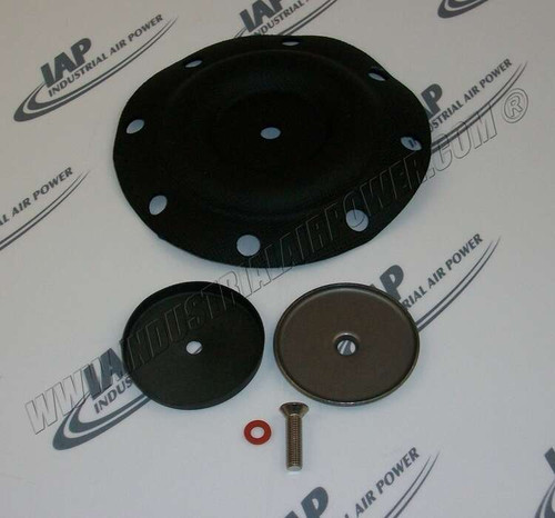 250020-028 Diaphragm