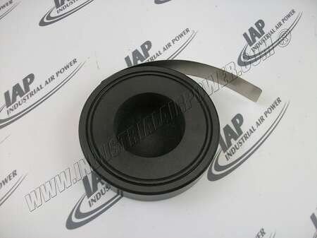 250024-890 Disc, Rupture