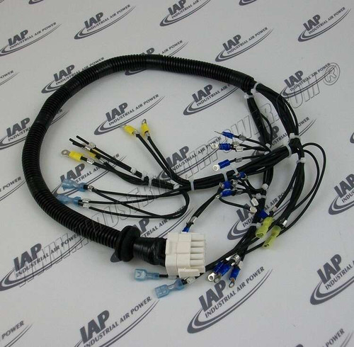 250025-024 Harness Wiring Instr Panel w/Ga