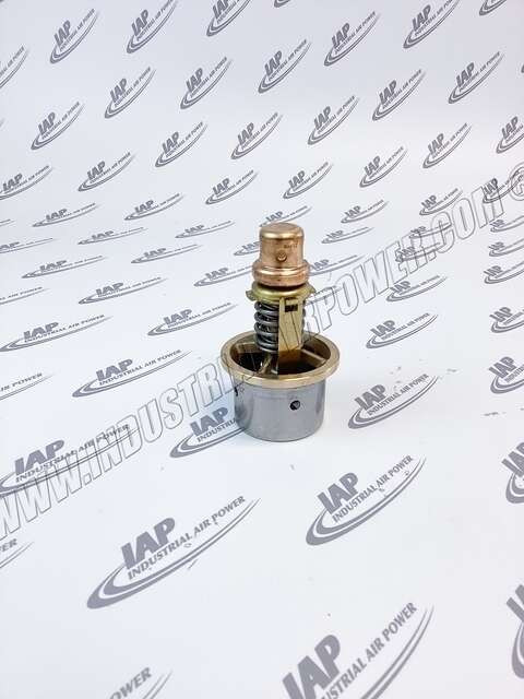 250026-566 Thrm 2" Thermostat 170f Valve