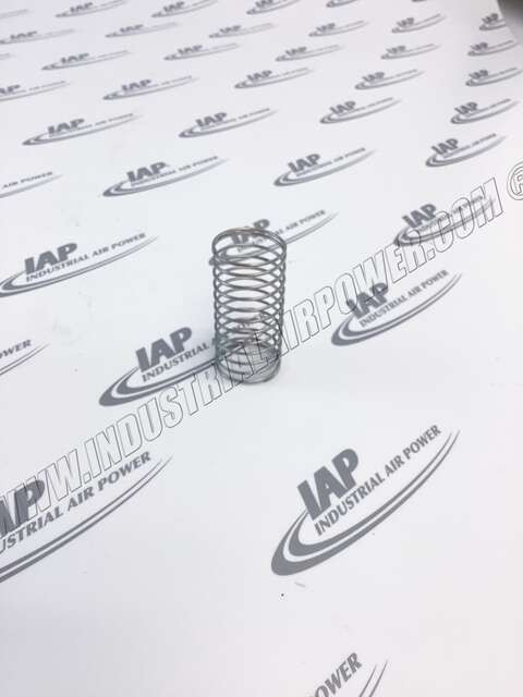 250042-088 Inlet Check Spring