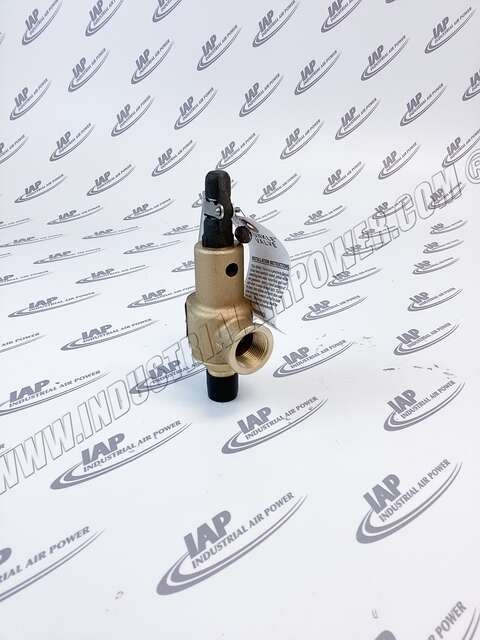 405818-001 Relief Valve