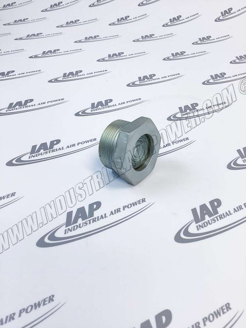 88290006-366 PLUG,SIGHT GLASS 1 7/8 LS12