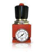 21999-0871 Pressure Regulator w/ Gauge