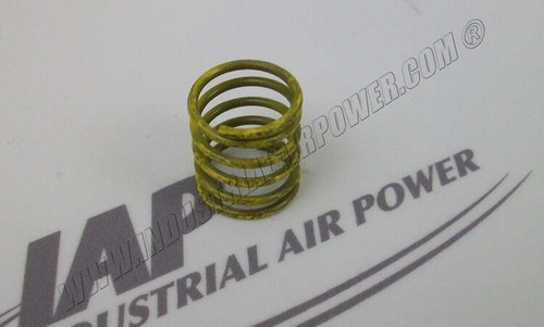 01607987 Valve Spring
