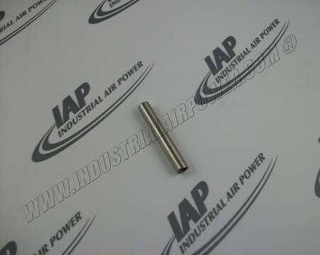 01608720 Plunger
