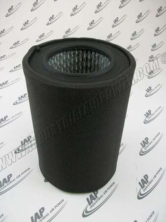 231P Replacement Element
