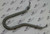 1503-2863-02 Cooler