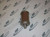0112000 V00 Vacuum Muffler Standard 3/8M