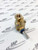 100011292 2/2 Solenoid Valve