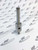 C20600-474 Stem Nrv [Srd5]
