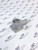 23996044 Separator Disch Housing