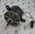 698152 Motor Fan 1/4 Hp