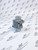 65657-65 Thermal Bypass Valve -73