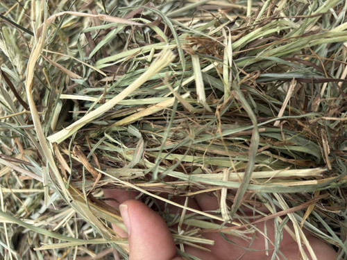 Ontario O/T/A 1st Cut