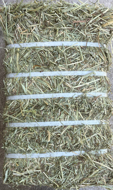 Alberta Compressed Diet