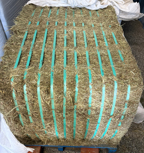 Sport Pasture Block 650#