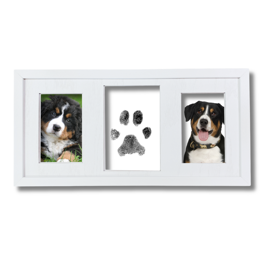 Pet Paw Print and Nose Print Picture Frame Kit - Dog Cat Lover, In Loving Memory of - 8.5" x 16.5"
