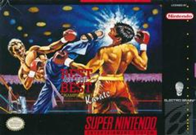 Best of the Best: Championship Karate - Snes
