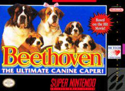 Beethoven: The Ultimate Canine Caper - Snes