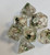 Clear Mossy Skull Resin 7 Dice Set