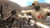 G.I. Joe - Nintendo Wii