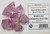 Sweet Dreams Resin 7 Dice Set