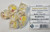 Yellow Christmas Duck Critters Resin 7 Dice Set