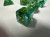 Seaweed Fish Resin 7 Dice Set