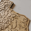 Texas 3D Topographic Wood Map