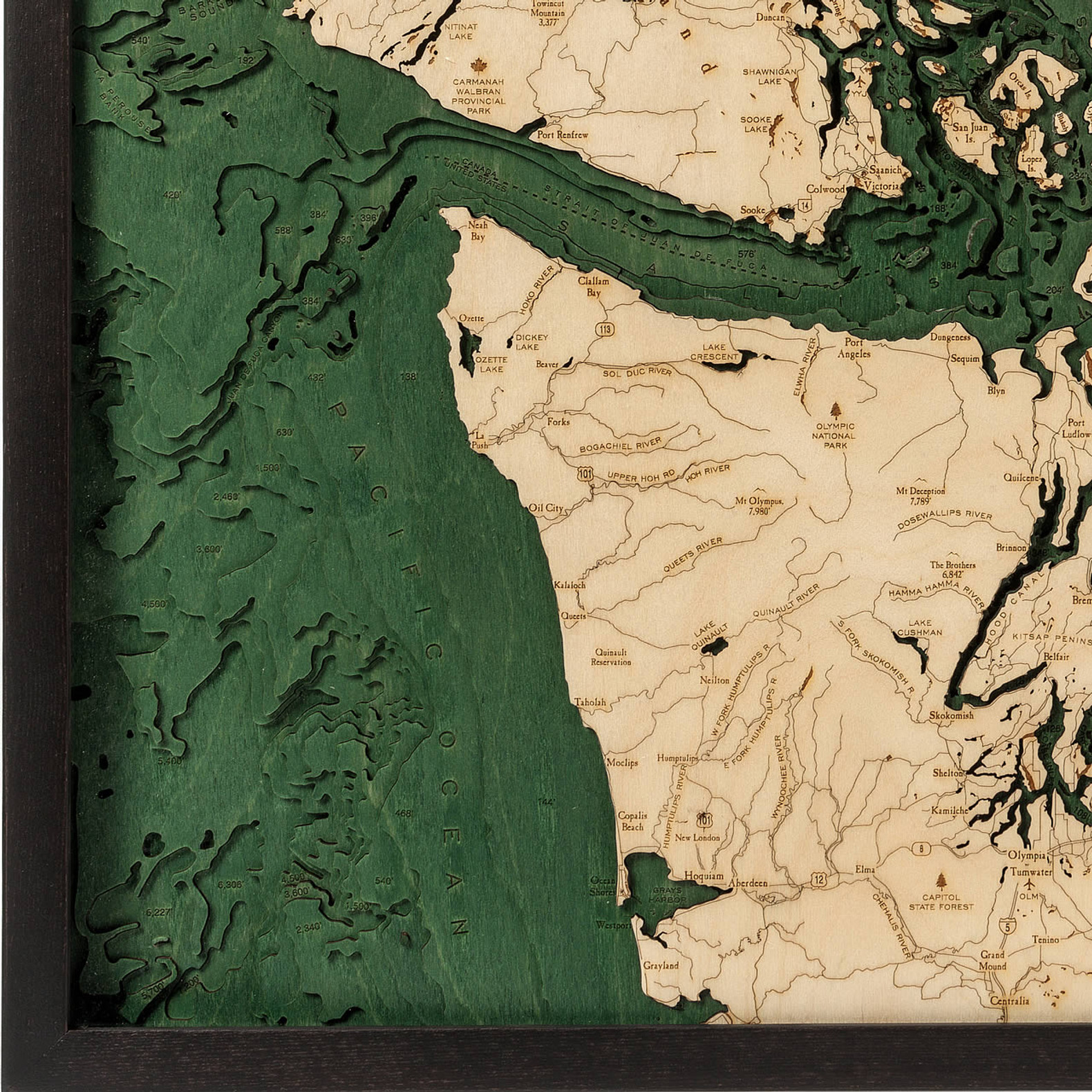 Salish Sea Wood Map Salish Sea Wooden Map Art | Topographic 3D Chart