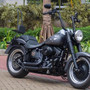 Sissy Bar King 30" Destacável com Bagageiro Removível para Harley-Davidson Softail Fat Boy - Preto
